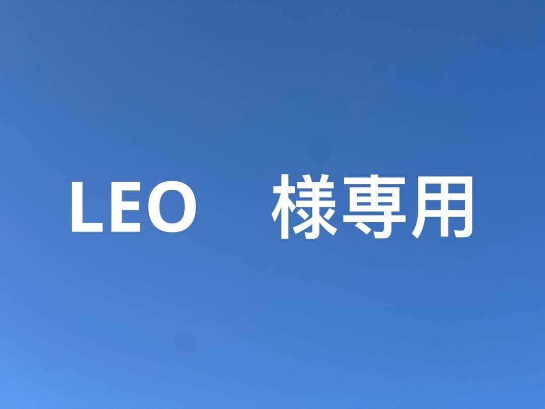 銀貨　一圓　明治二十九年　大日本　硬貨　古銭　　竜　蔵品　近代貨幣