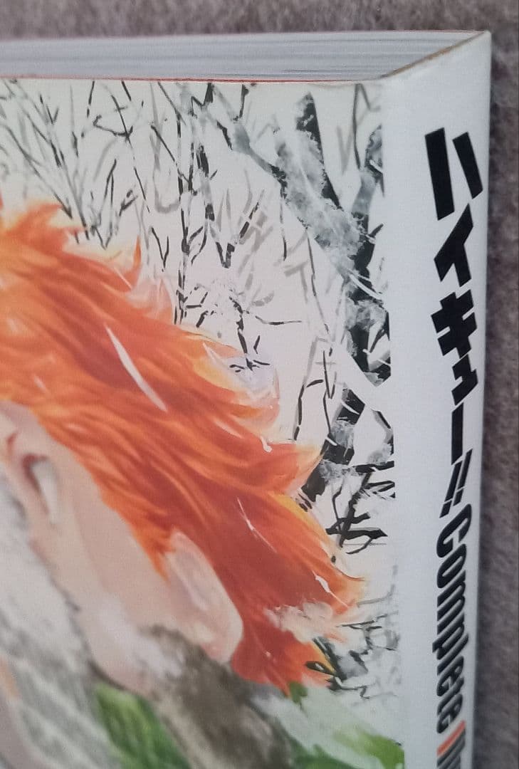 ハイキュー!! コミック全巻&ガイドブック&イラストレーションブック おまけ付き