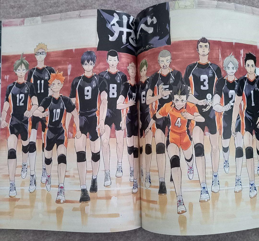 ハイキュー!! コミック全巻&ガイドブック&イラストレーションブック おまけ付き