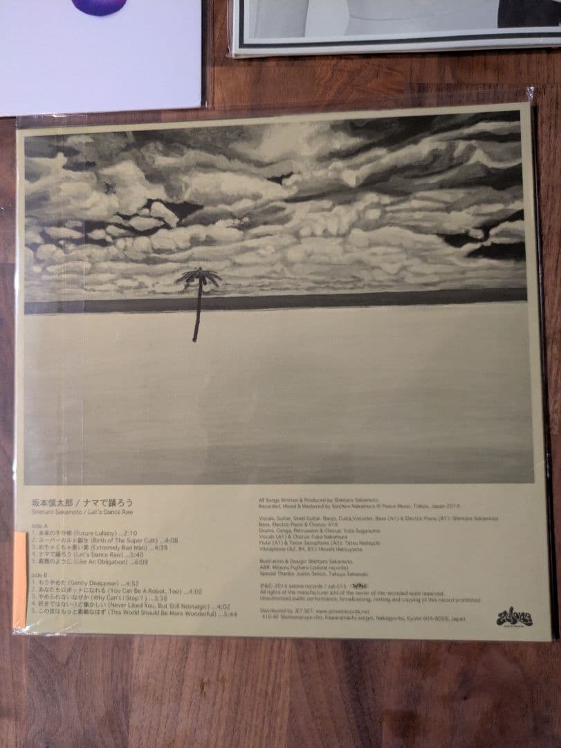 坂本慎太郎　ナマで踊ろう　レコード