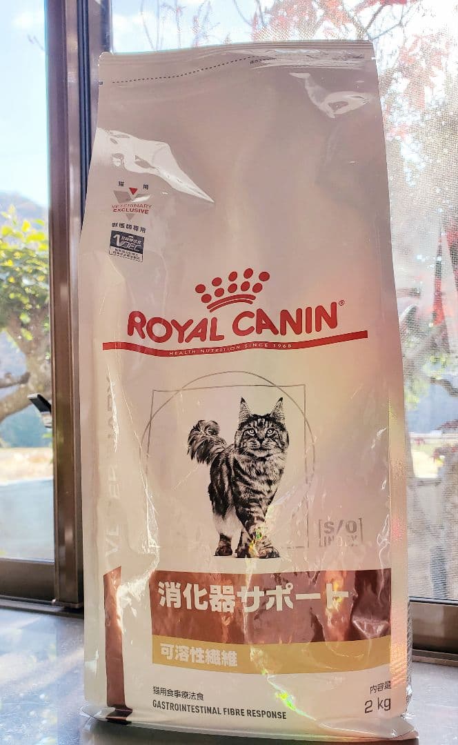 【専用品】 CANIN 消化器サポート 可溶性繊維 2kg×2