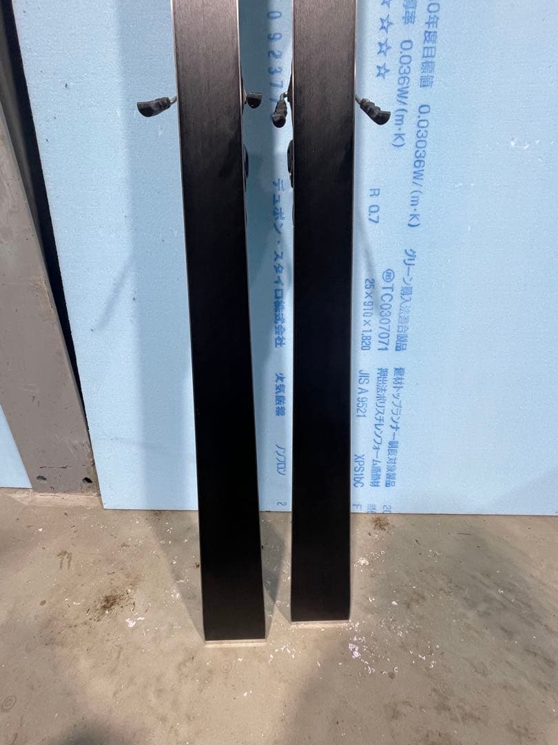 スキー WCR E-GS REBEL SW RP WCR 14 181cm