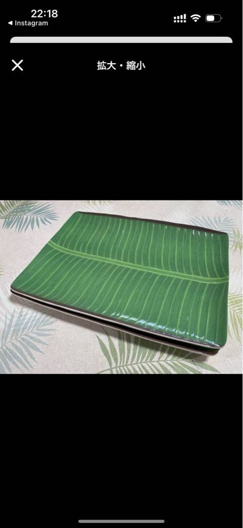 Mozu バナナリーフ皿10枚