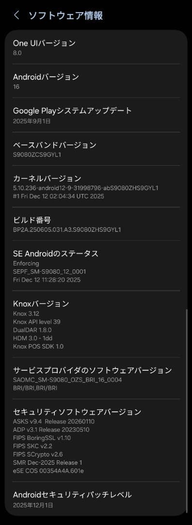 Galaxy S22 Ultra 香港版 デュアルSIMフリー 256GB