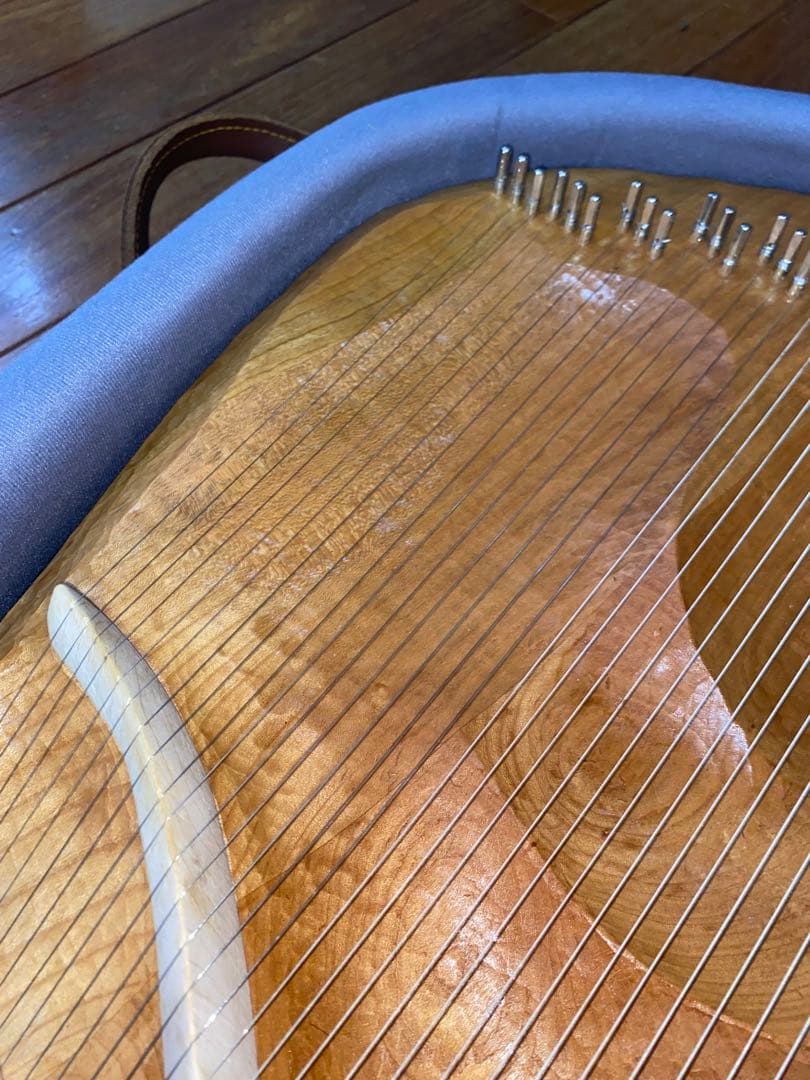 タオライアー　ソウルサウンドライアー　48弦