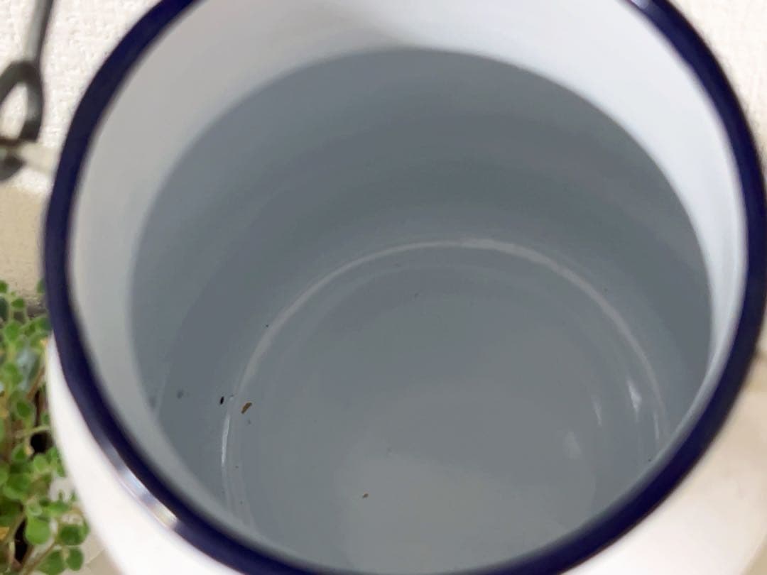 フランスアンティーク＊ホーローサキソニー柄ジャーポット