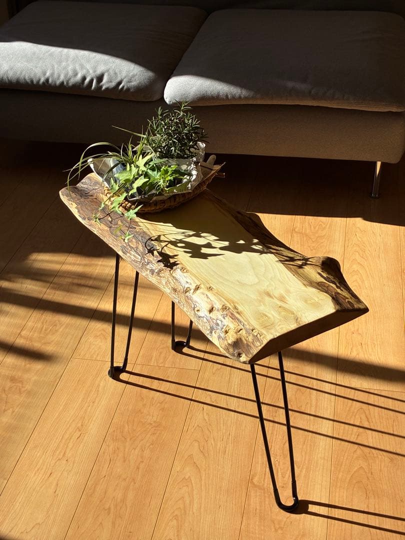 国産桂かつら【和モダンな佇まい】無垢天然一枚板サイドテーブル