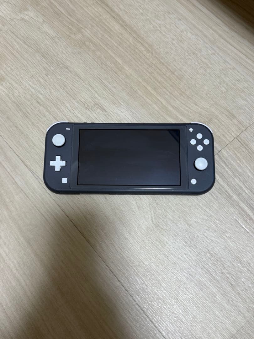 Nintendo Switch Lite グレー 純正充電器 箱なし