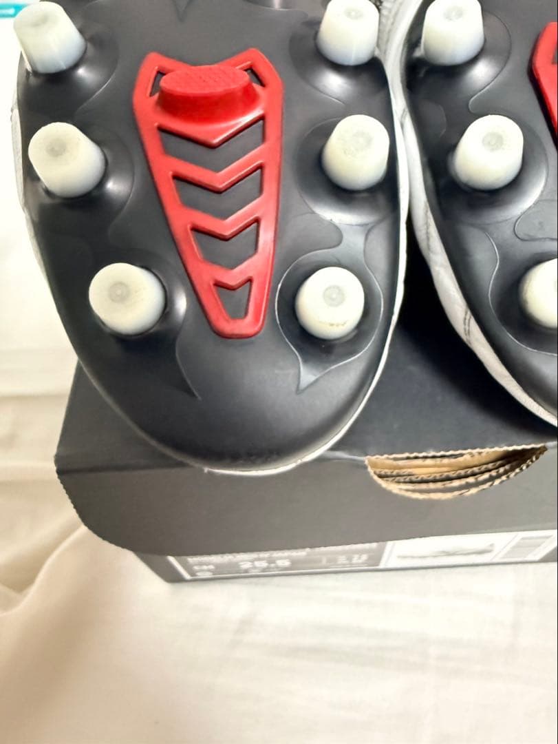 モレリアネオ4β