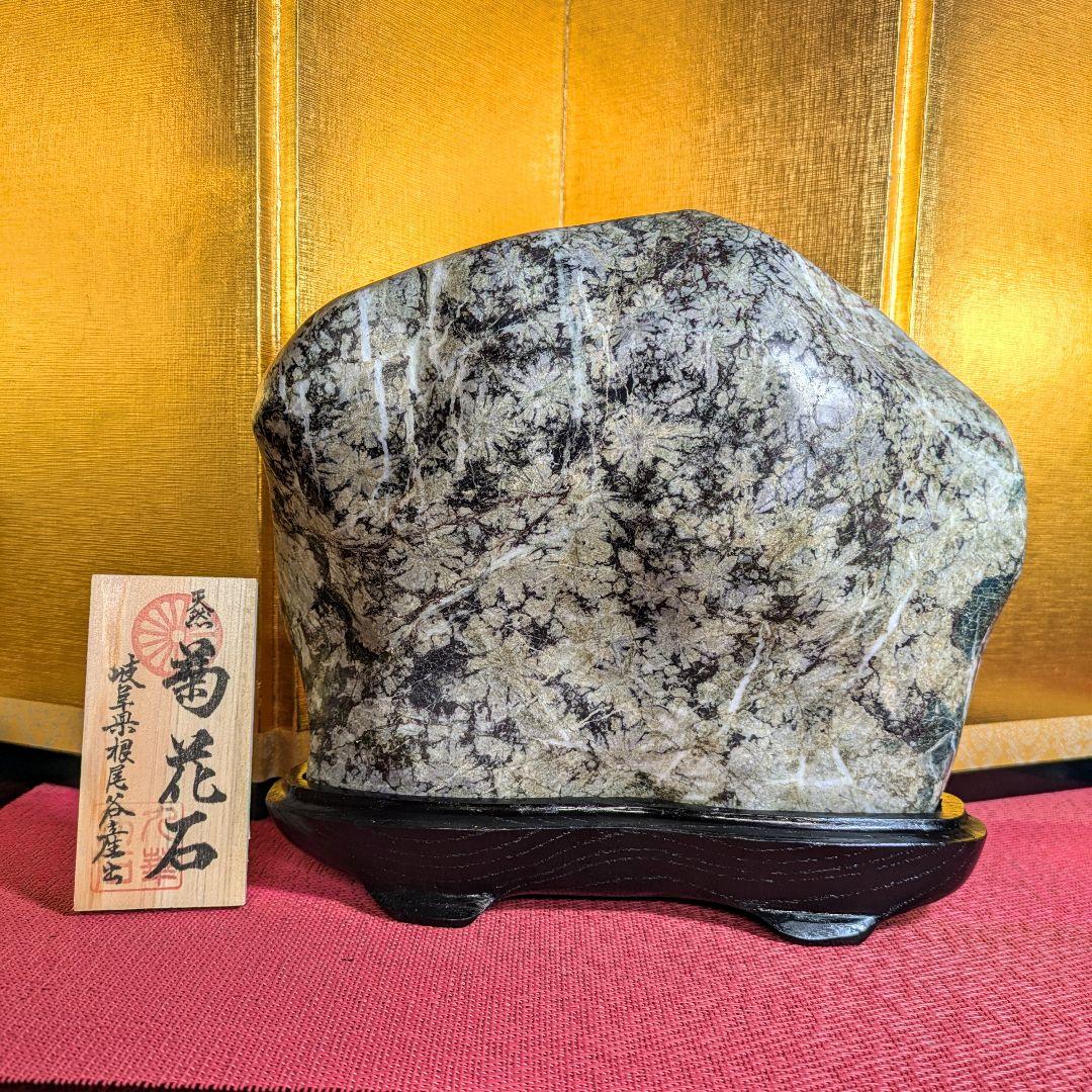 菊花石 岐阜県根尾谷産4.5㌔ 鑑賞石 観賞石 水石 盆石 天然石