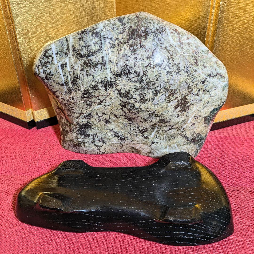 菊花石 岐阜県根尾谷産4.5㌔ 鑑賞石 観賞石 水石 盆石 天然石