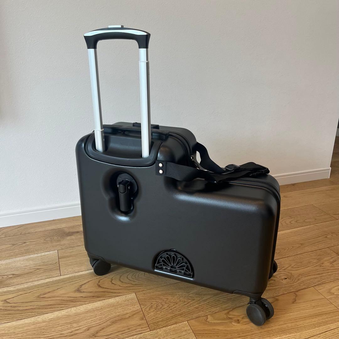 【美品】子どもが乗れるキッズキャリー