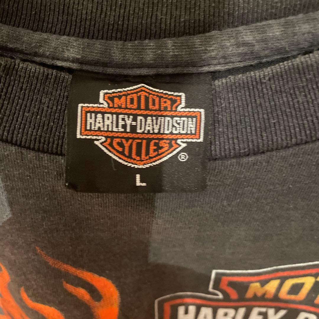 Harley-Davidson タイガー×フレイム L ロンT