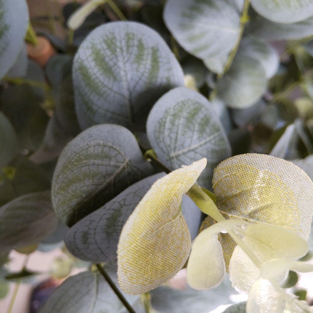 ユーカリの木130cm タイプ！銀丸葉 ！ 大型フェイクプランツ！ 未使用！