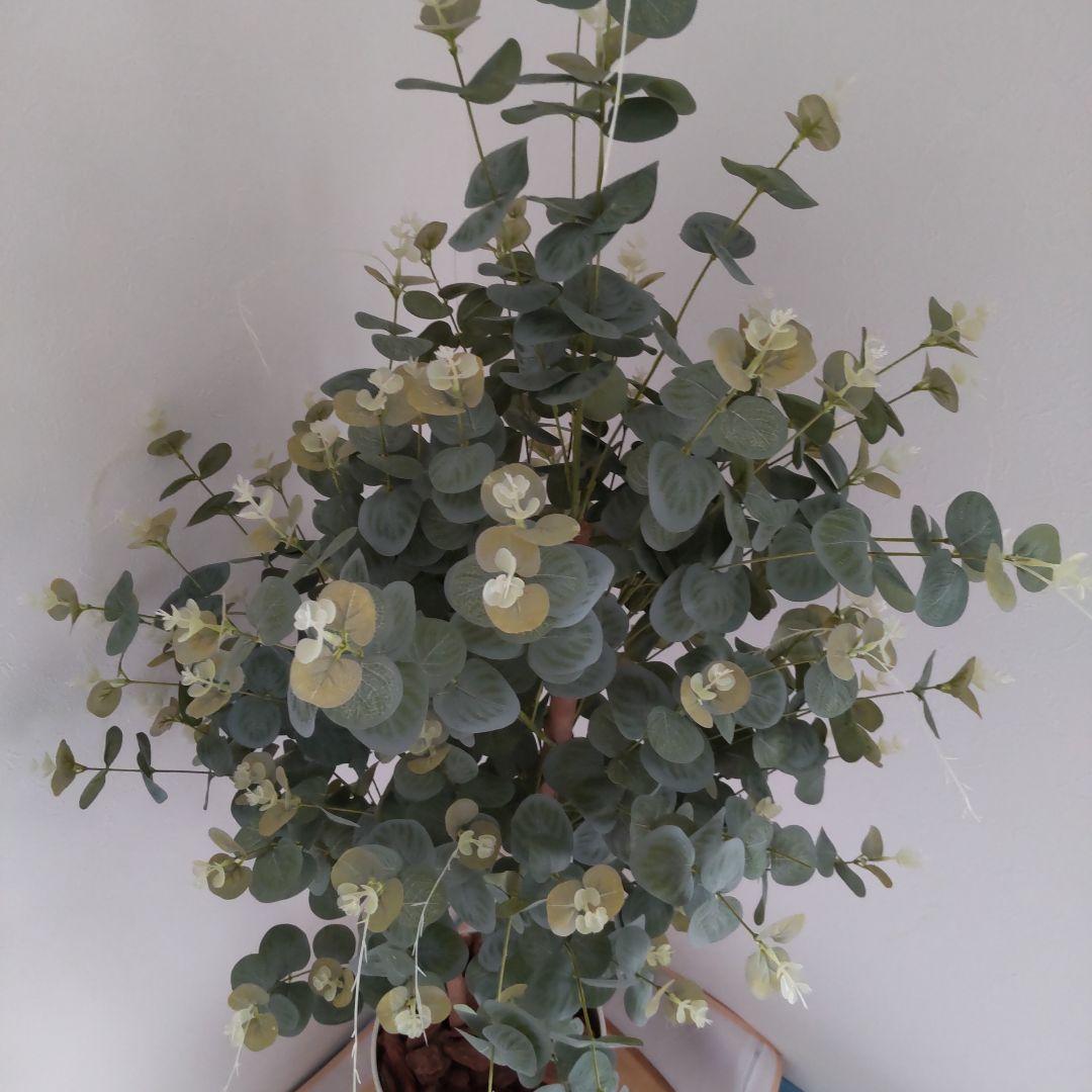 ユーカリの木130cm タイプ！銀丸葉 ！ 大型フェイクプランツ！ 未使用！