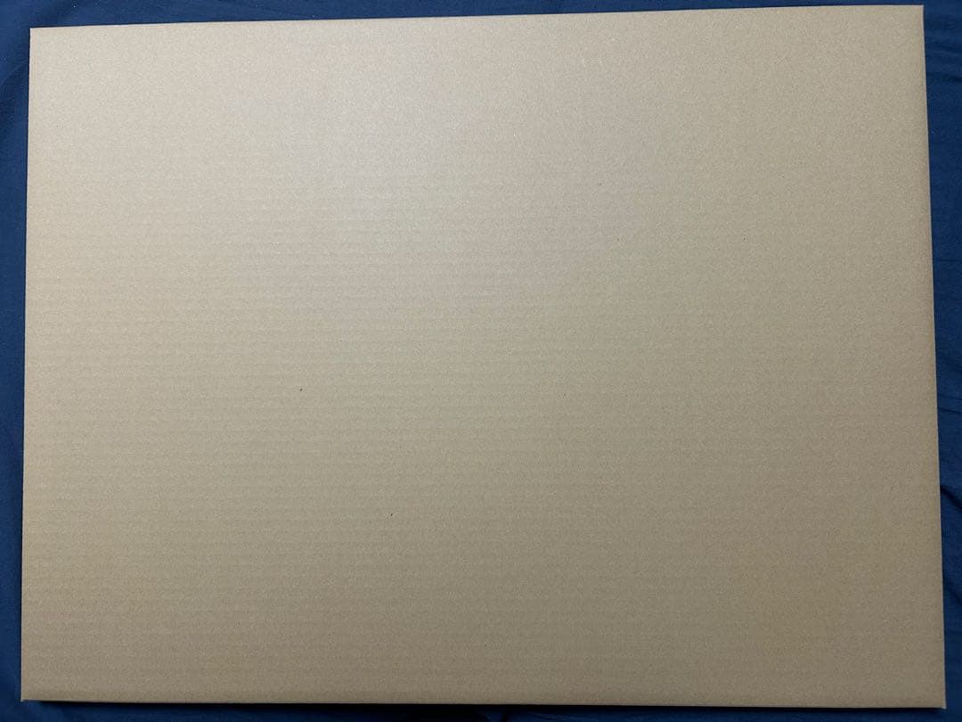 鶴田謙二 直筆サイン入り複製原画「おもいでエマノンB 2008」