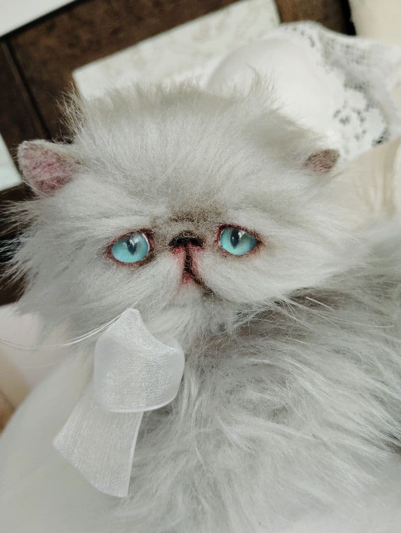 エキゾチックロングヘア♡子猫ちゃん♡アートドール♡ぬいぐるみ♡