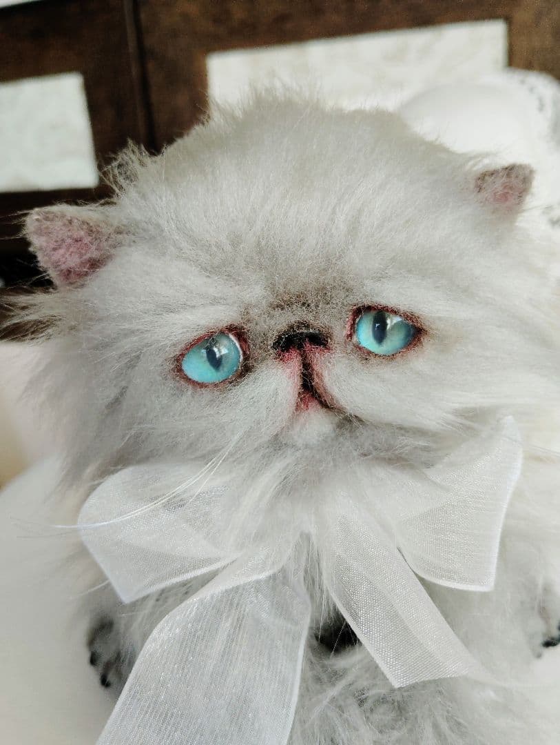 エキゾチックロングヘア♡子猫ちゃん♡アートドール♡ぬいぐるみ♡