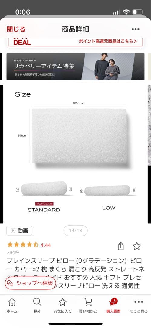BRAIN SLEEP 枕 と カバー２枚