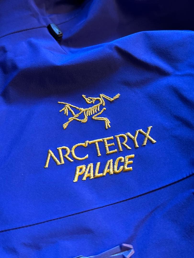 スペシャル Arc’teryx x Palace Alpha SV M パレス青