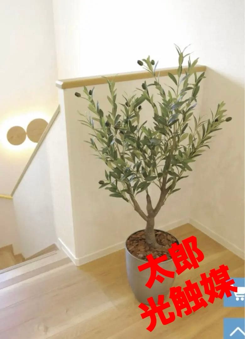 光触媒　人工観葉植物　フェイクグリーン　インテリオリーブ1.25