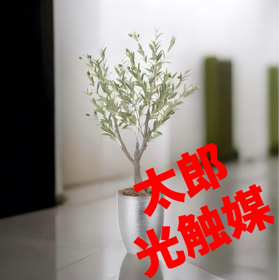 光触媒　人工観葉植物　フェイクグリーン　インテリオリーブ1.25