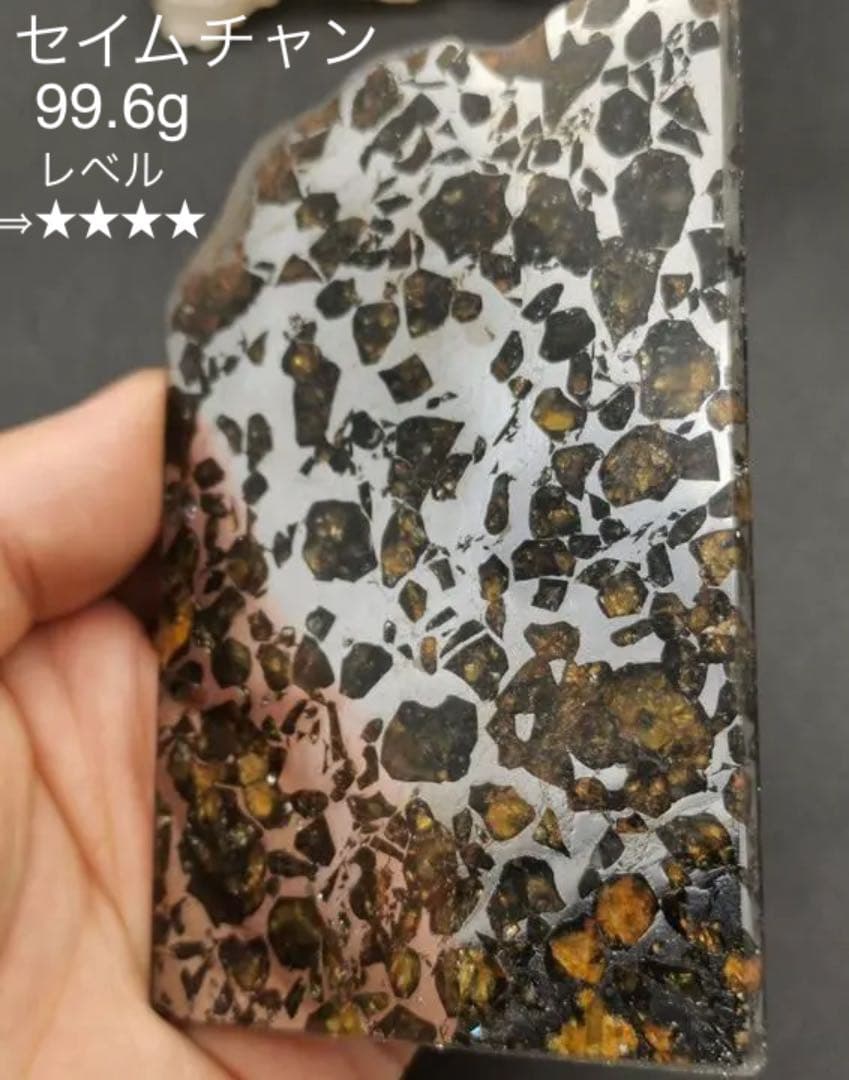 セイムチャン隕石　パラサイト隕石  激安　99.6g ロシア産