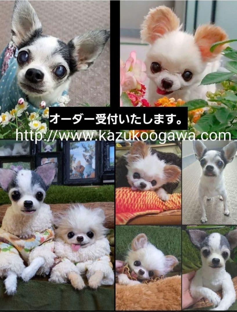 オーダー受付中♥️  チワワ　犬　ペットロス　実物大　ぬいぐるみ　カズコオガワ
