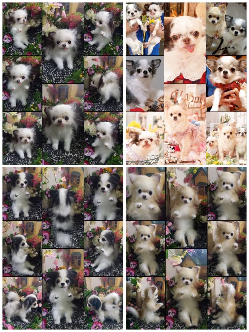 オーダー受付中♥️  チワワ　犬　ペットロス　実物大　ぬいぐるみ　カズコオガワ