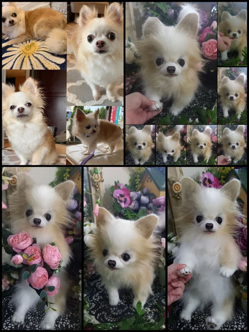 オーダー受付中♥️  チワワ　犬　ペットロス　実物大　ぬいぐるみ　カズコオガワ