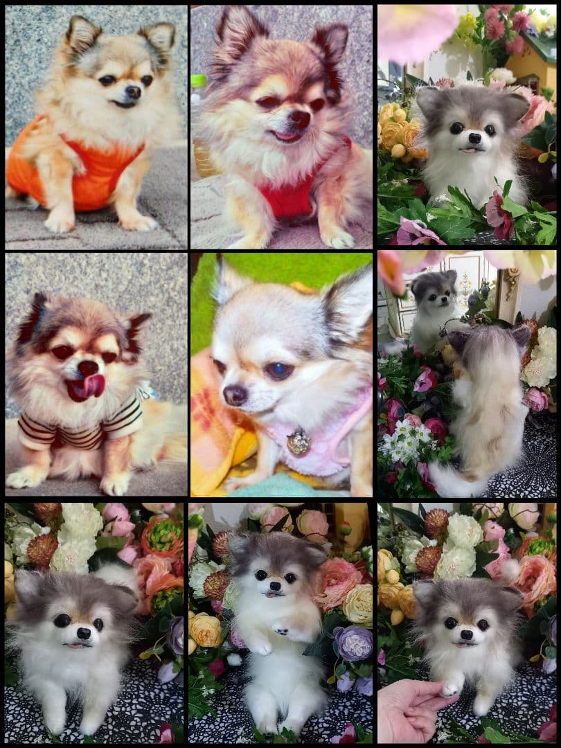 オーダー受付中♥️  チワワ　犬　ペットロス　実物大　ぬいぐるみ　カズコオガワ