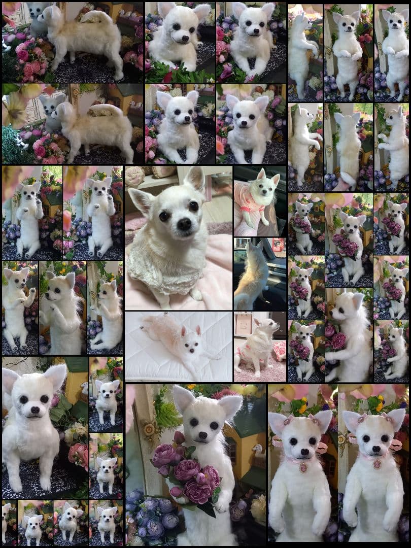 オーダー受付中♥️  チワワ　犬　ペットロス　実物大　ぬいぐるみ　カズコオガワ
