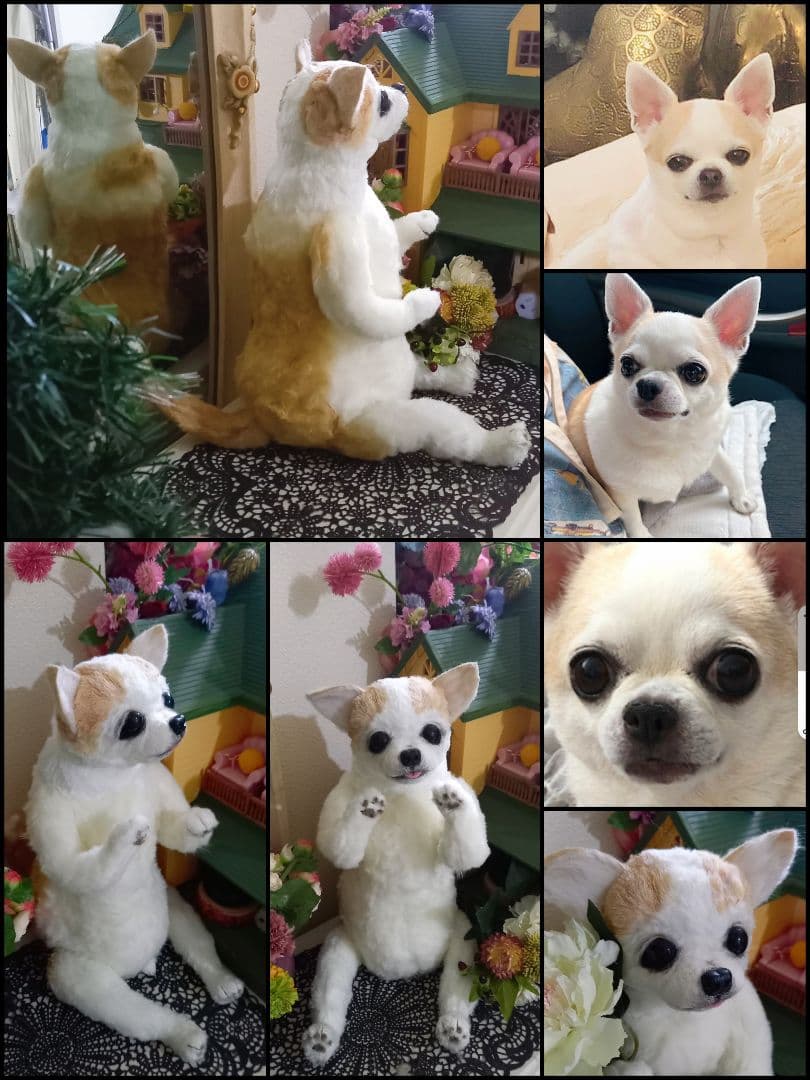 オーダー受付中♥️  チワワ　犬　ペットロス　実物大　ぬいぐるみ　カズコオガワ