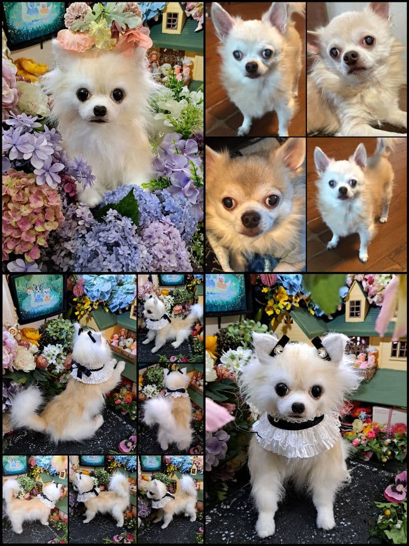 オーダー受付中♥️  チワワ　犬　ペットロス　実物大　ぬいぐるみ　カズコオガワ