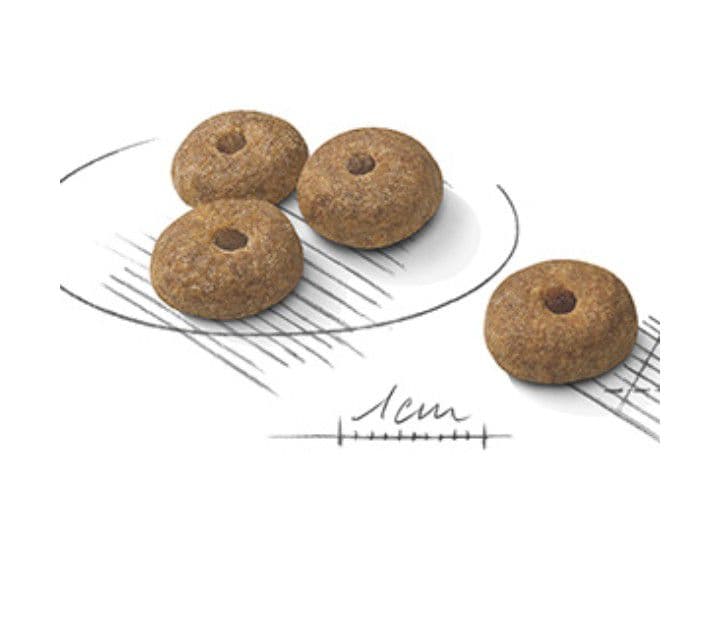  CANIN ミニステアライズド 8kg 二袋　段ボール梱包