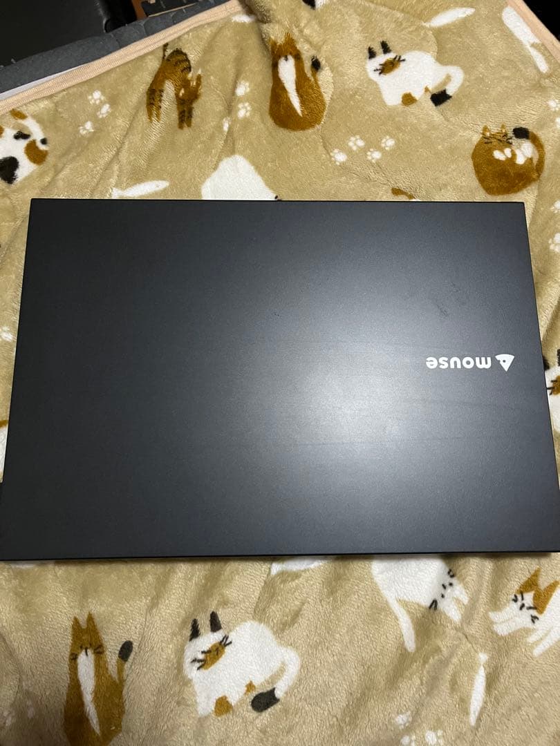 g*o様 mouse ノートPC 16GB