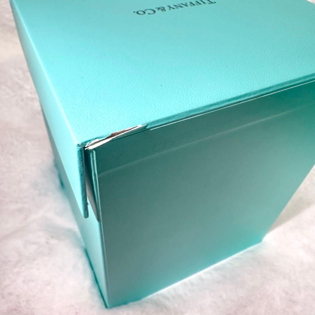 【新品・非売品】希少　ティファニー メリーゴーランド オルゴール　スノードーム