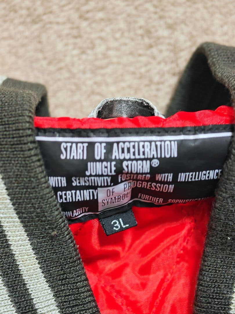 JUNGLE STORM シルバー龍日本限定 スカジャン vintage サテン