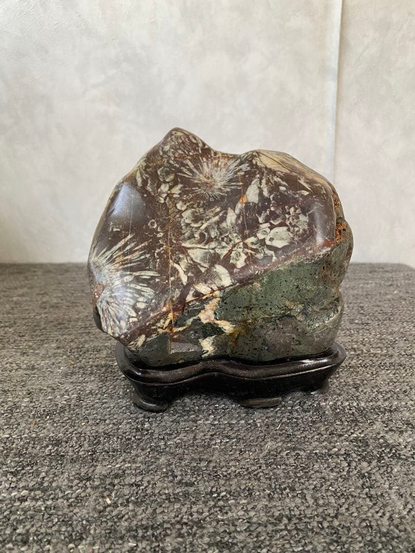 菊花石　置物　石