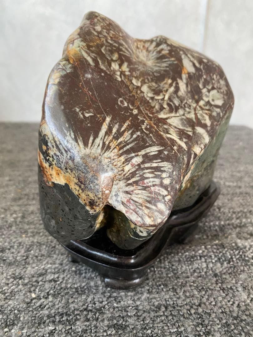 菊花石　置物　石