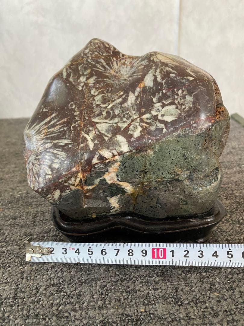 菊花石　置物　石