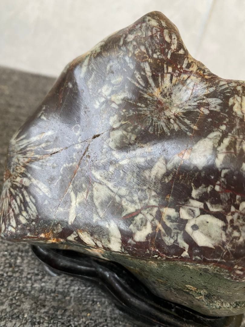 菊花石　置物　石