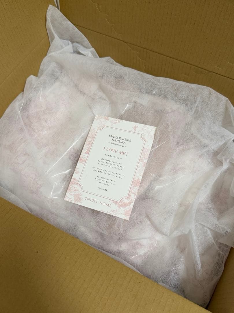 福袋 SNIDEL  HAPPY BOX 2026 抜きなし