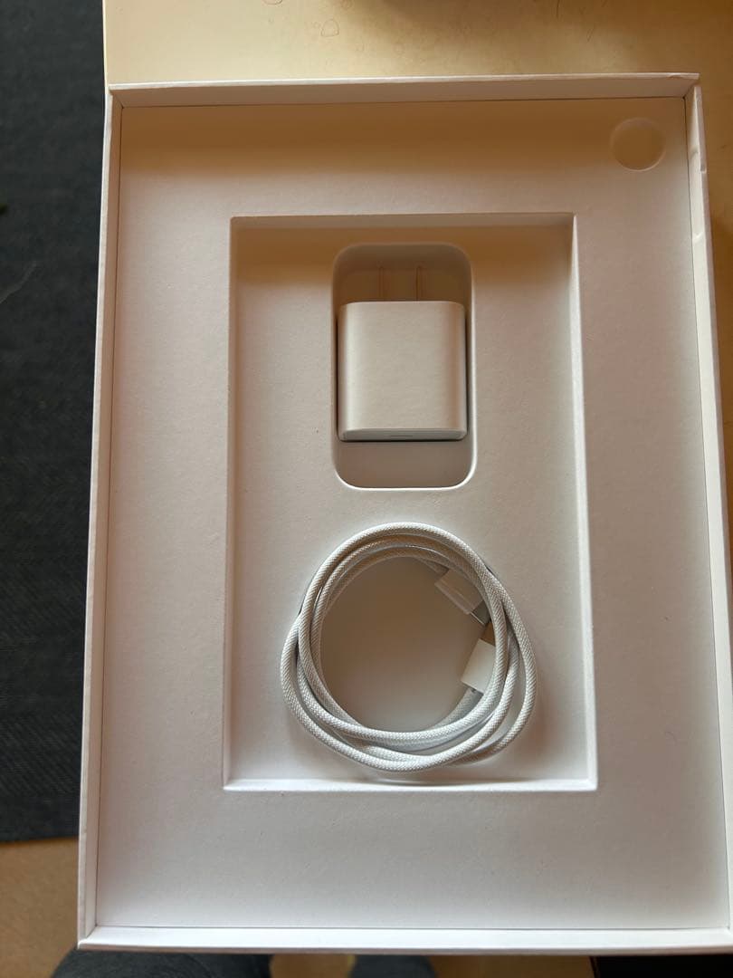 iPad本体 Apple iPad (A16) Wi-Fi 128GB