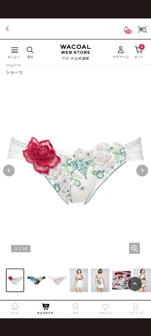 。はしはし様。サルート16グループ、フロントエックスブラD70、ショーツL。