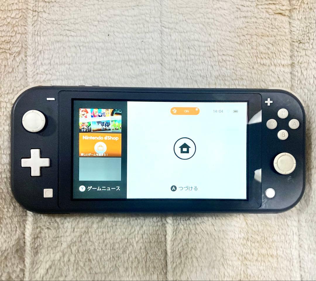 d*3様 Nintendo Switch Lite 本体のみ 美品