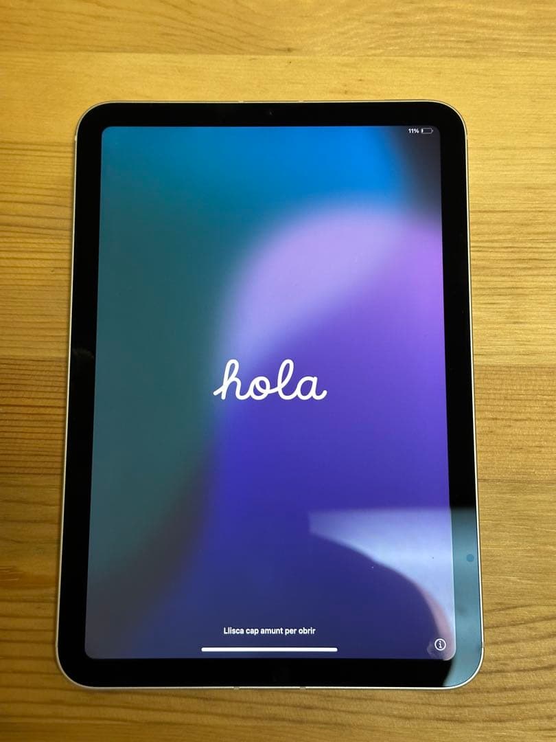iPad mini6 Wi-Fi+Cellular 256GB スターライト