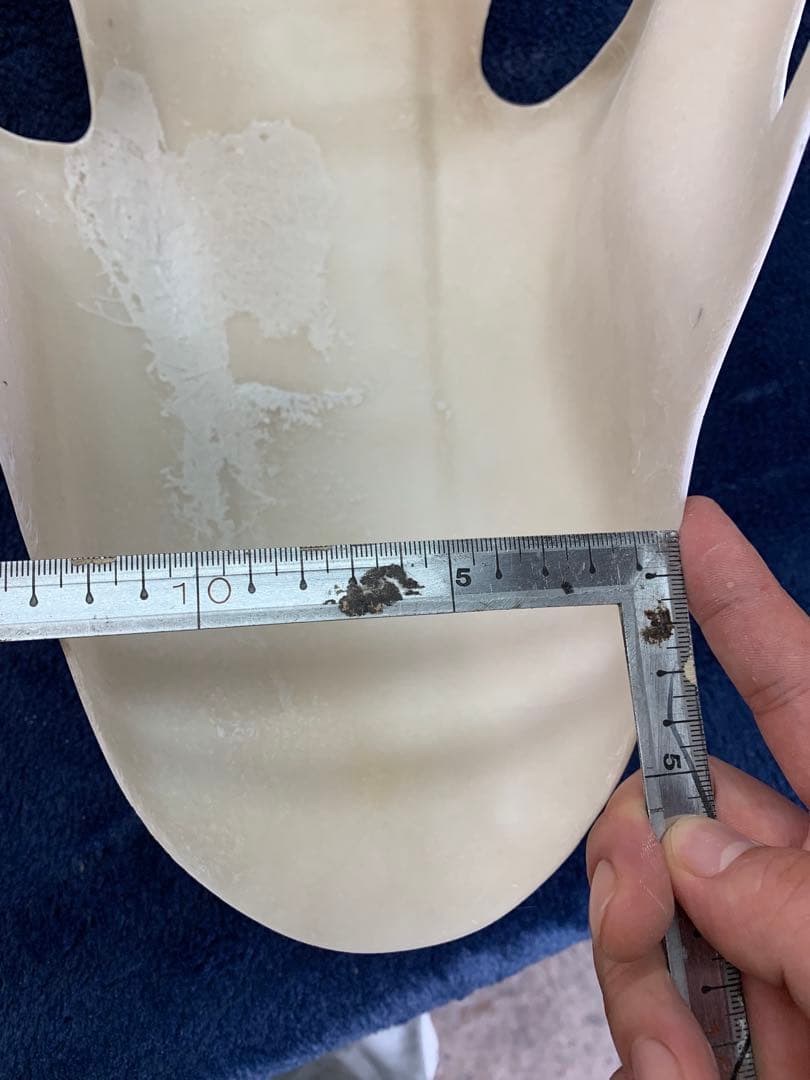 ◇ゼファー400　XJR400 エアロシャーク メッシュ付　FRP製　高強度◇