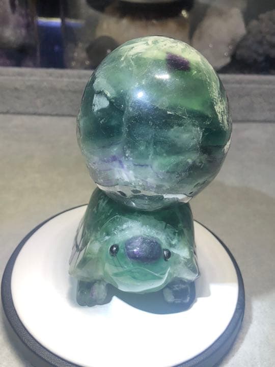 フローライト 笑口 亀