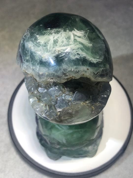 フローライト 笑口 亀